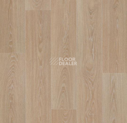 Линолеум Forbo Eternal Wood 13802 blond timber фото 1 | FLOORDEALER